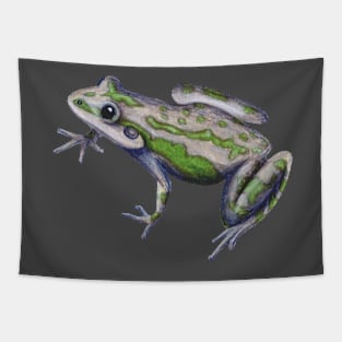 Spotted Chorus Frog :: Reptiles and Amphibians Tapestry