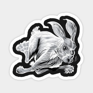 Run Rabbit Run Magnet