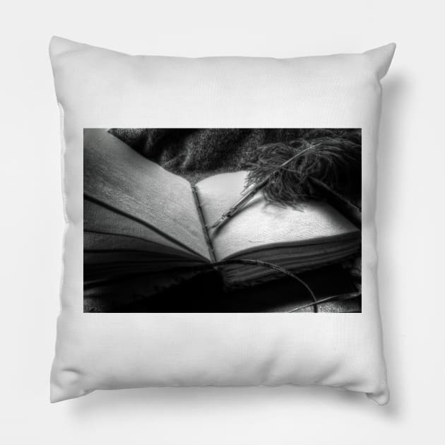 Quill and Pen Pillow by Nigdaw
