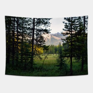 Mountain hike Tapestry