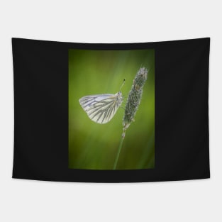 Green-veined White Butterfly on Grass Stalk Tapestry