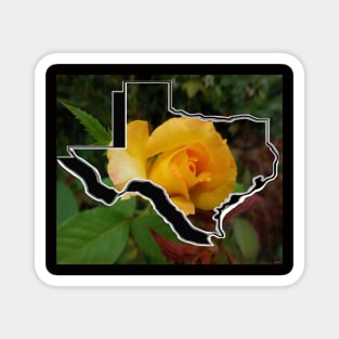 Yellow Rose of Texas Magnet