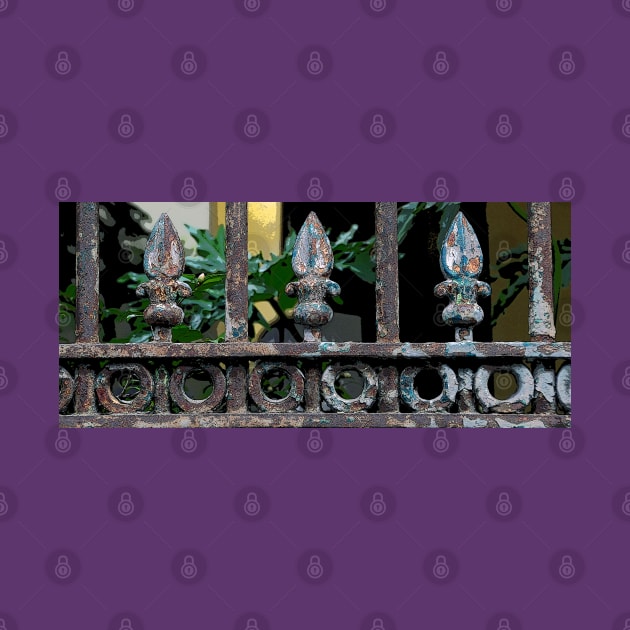 FLEUR DE LIS FENCE by JerryGranamanPhotos71