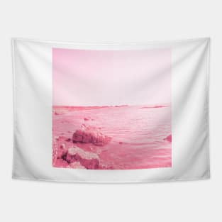 A rocky seaside in Oman pink version Tapestry