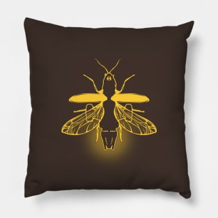 Firebug Pillow