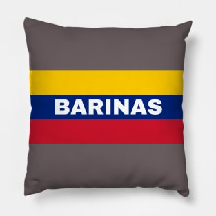 Barinas City in Venezuelan Flag Colors Pillow