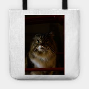 Cutie Cat Tote