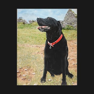 Jet the black Labrador on Berry head Brixham Devon T-Shirt