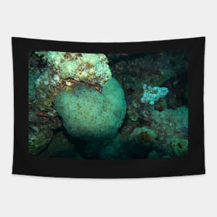 RED SEA MARINE LIFE Tapestry