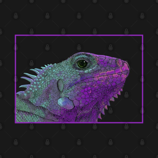 Purple Iguana by Lara Plume