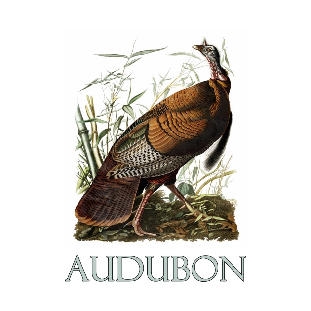 Wild Turkey by John James Audubon by Naves