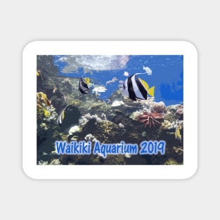 waikiki aquarium Magnet