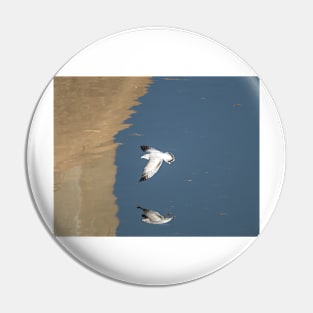 Ring-billed Gull In Flight Pin