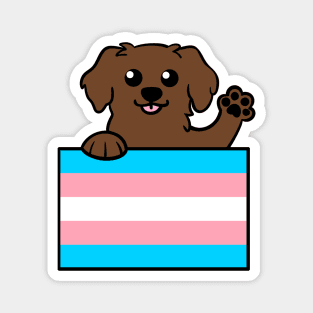 Love is Love Puppy - Brown Lab Trans Magnet