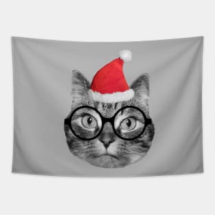 Cute fluffy tabby cat celebrating Christmas Eve Tapestry