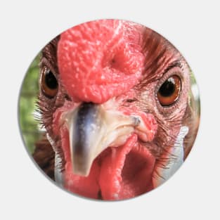 Rooster Photo Pin