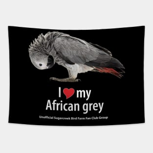 love African grey (2) Tapestry