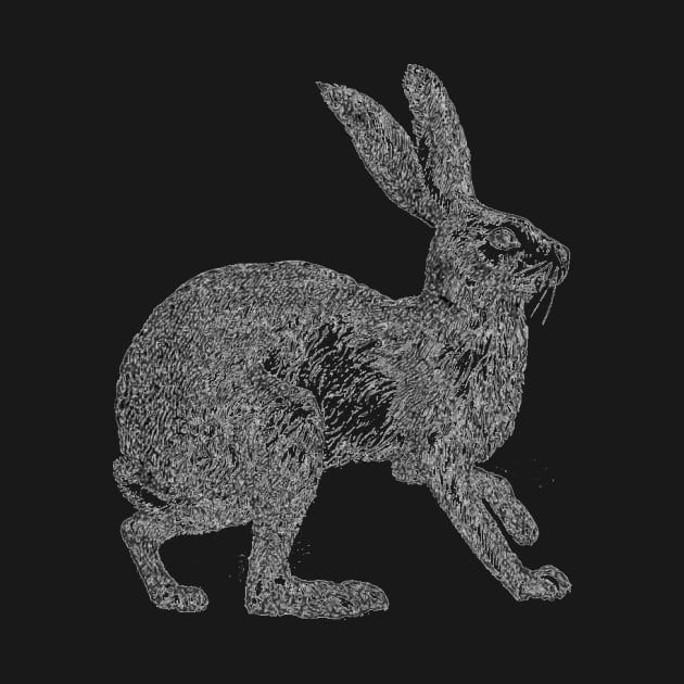 Vintage Hare by Shepherd