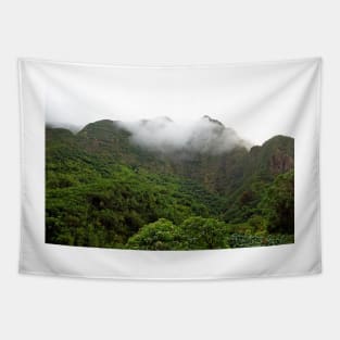 Iao Valley State Park Study 5 Tapestry