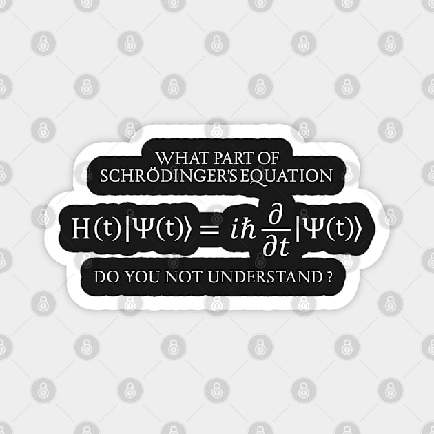 the Schrödinger Equation Magnet by ScienceCorner