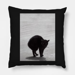 Black Cat, Witch's Familiar Pillow