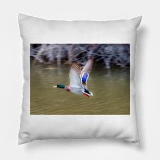 Mallard Flight Pillow