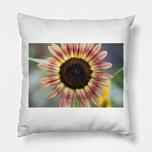 Sunflower Series XIX Pillow