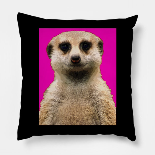 meerkat Pillow by oryan80