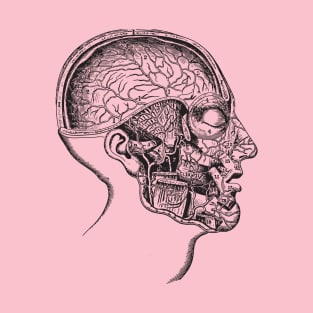 Head anatomy T-Shirt