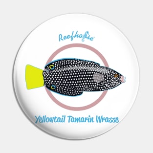 Yellowtail Tamarin Wrasse Pin