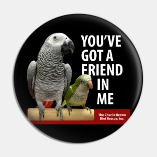 CB You've Got a Friend M&H Pin