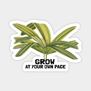 Save the Nature Grow at your own pace Magnet