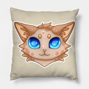Kitten Pillow