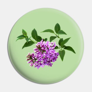 Lovely Lilacs Pin