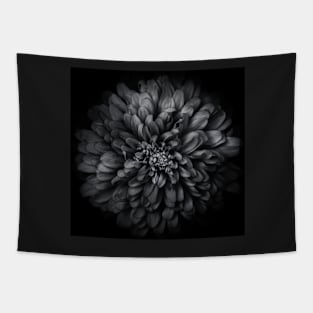 Backyard Flowers In Black And White 68 Tapestry