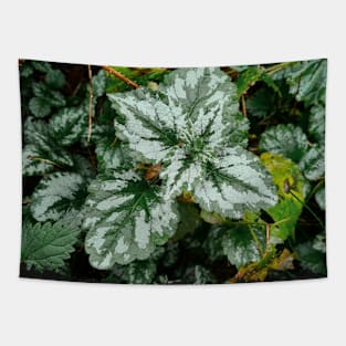 Nettle in the woods Tapestry