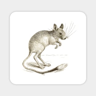 The Jerboa Magnet