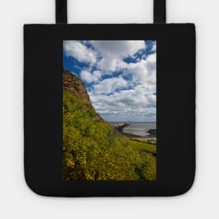 Tynemouth Castle and Pier Tote