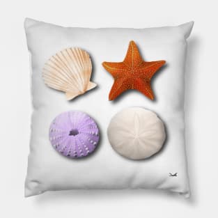 Scallop, Starfish, Sea Urchin, Sand Dollar Pillow