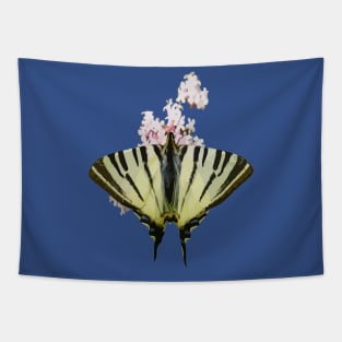 Swallowtail On Wild Garlic Flowers Cut Out Tapestry