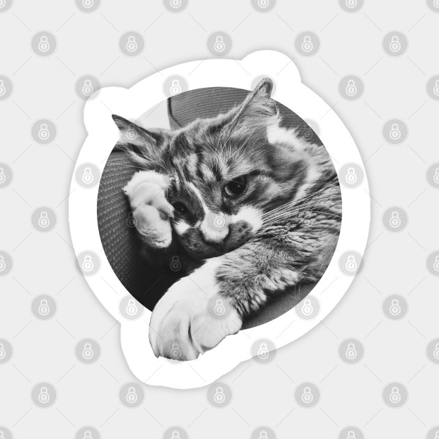 No U Cat Macros