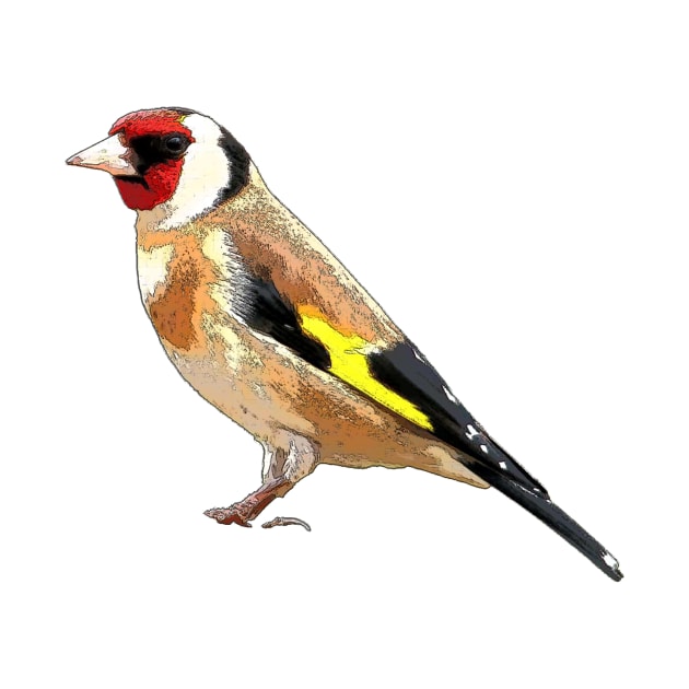 Goldfinch by bywhacky