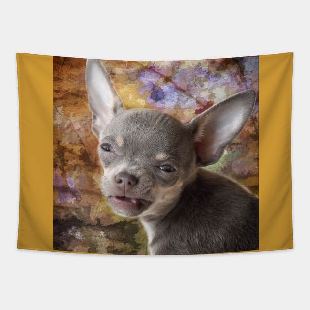 Cheeky Face Funny Chihuahua Tapestry by BarbaraGlebska