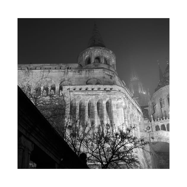 Fisherman's Bastion (Halászbástya), Budapest by rodneyj46