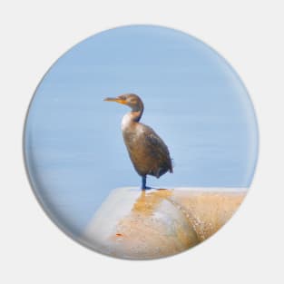 Double-Crested Cormorant II Pin