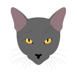 Grey Cat T-Shirt