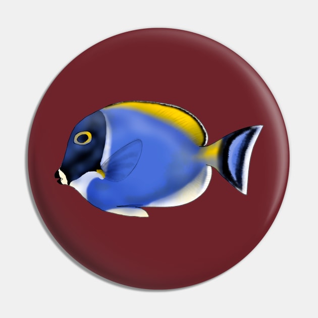 Acanthurus leucosternon Pin by lucamendieta