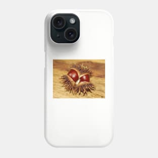 horse chestnut - conker Phone Case