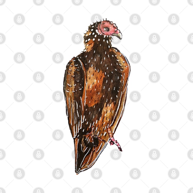 Turkey Vulture by Animal Surrealism