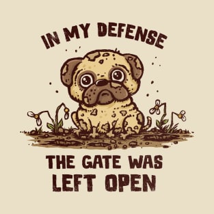 The Gate Was Open T-Shirt